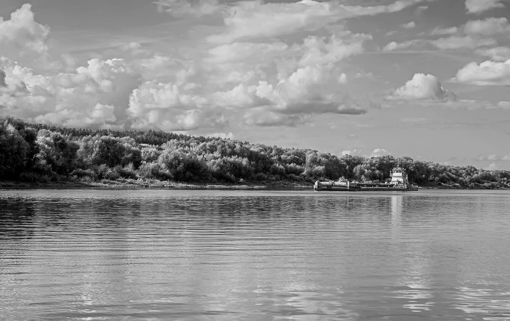 Calm day on the river