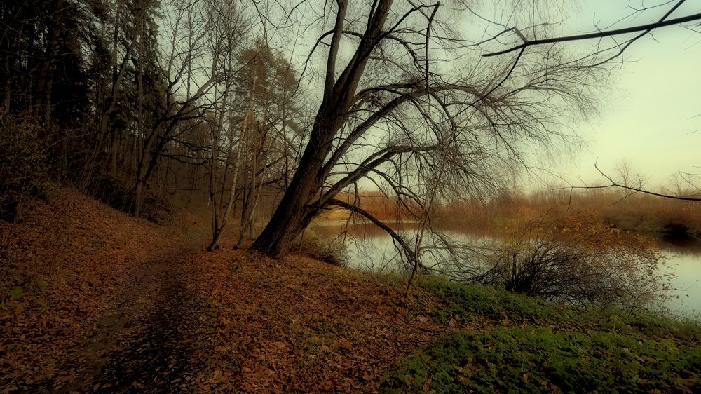 Осень пришла