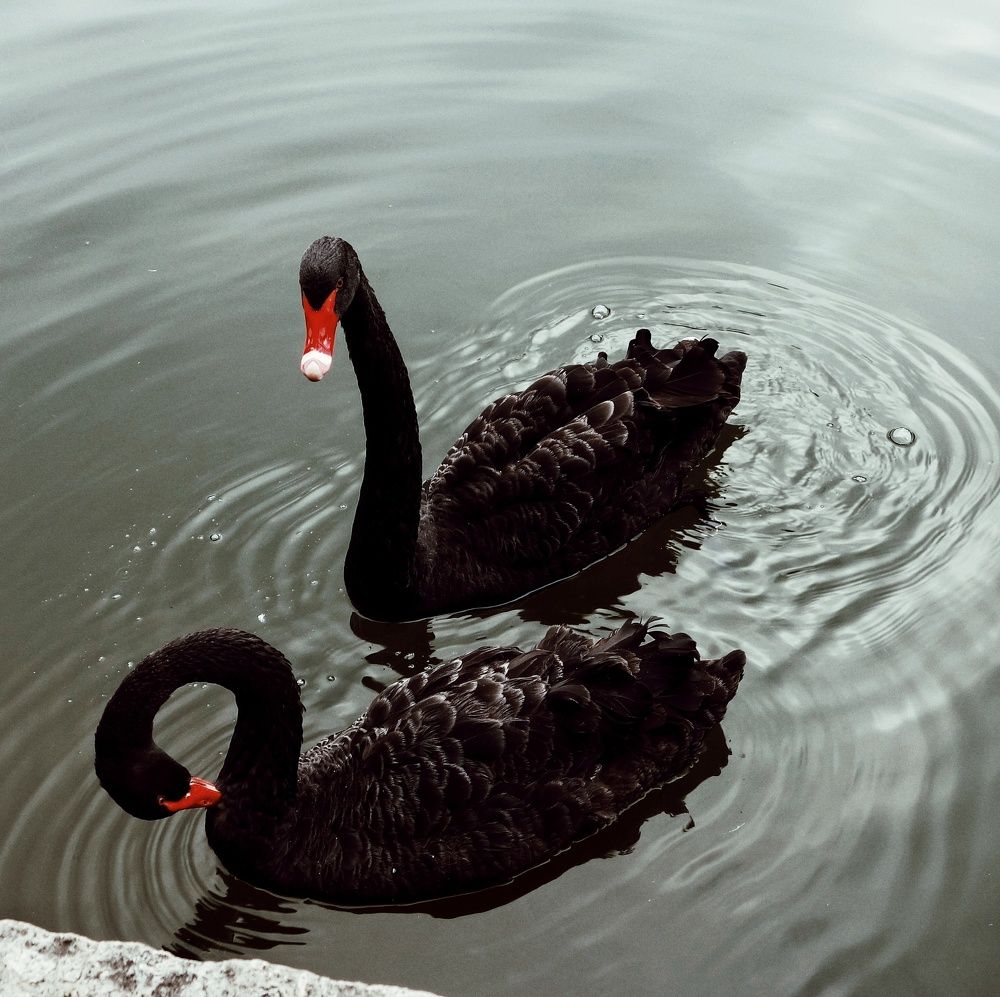 Photograph by Василий Селиванов