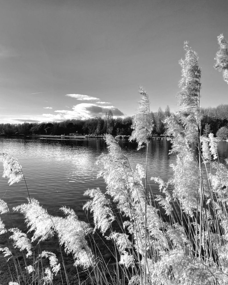 Photograph by Marina Odintsova