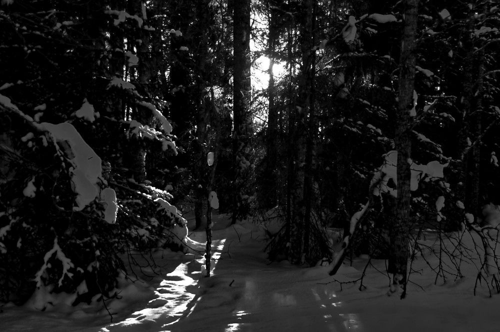 Photograph by Алексей Ильин