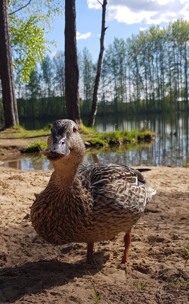 Photograph by Наталья Абилова
