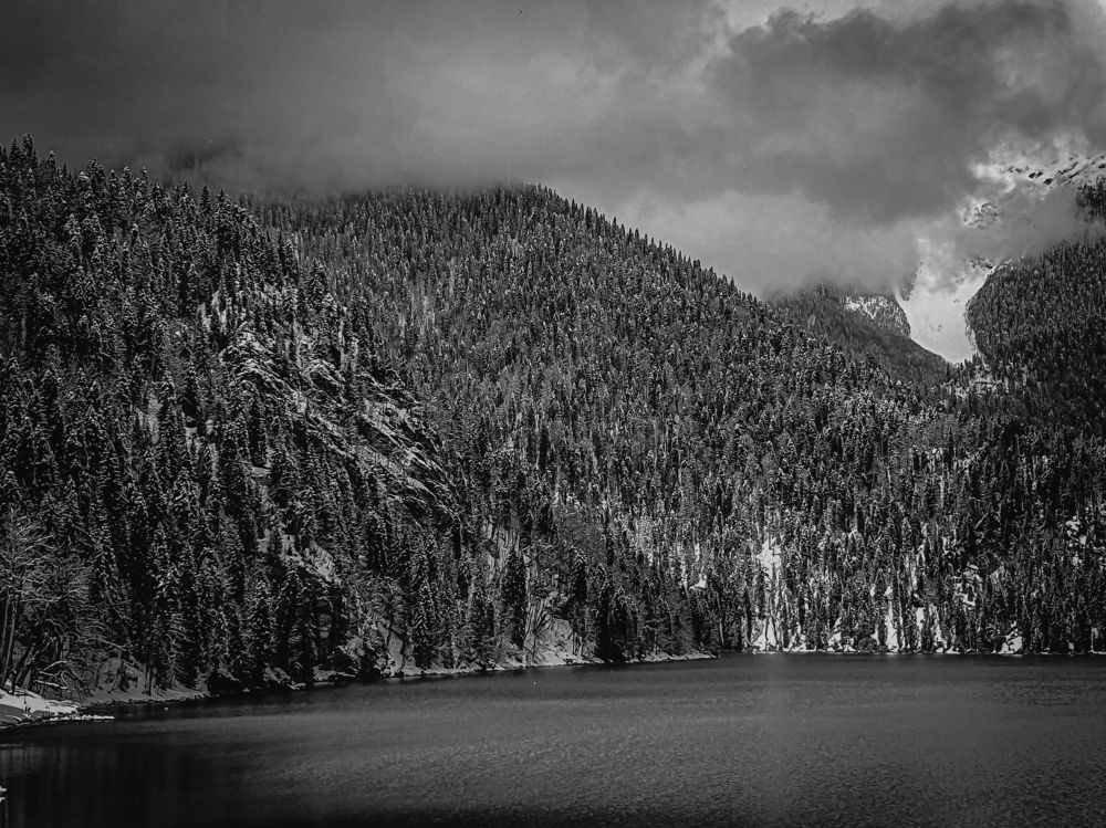 Photograph by mikhail goryachev