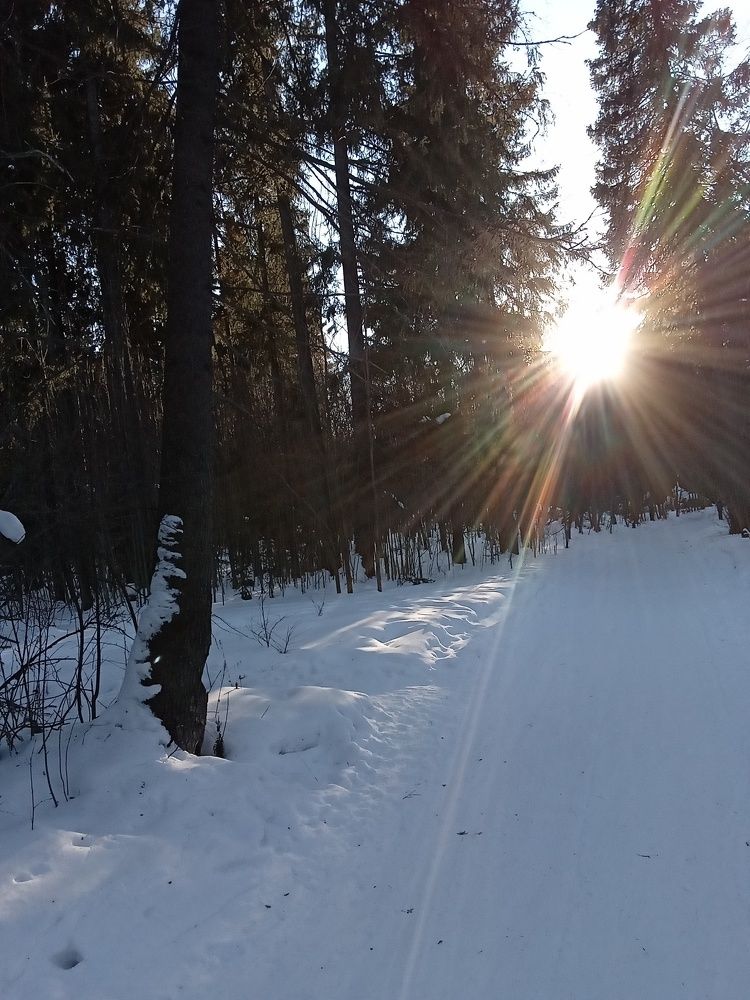 Photo #7622721