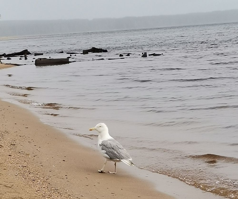 Photograph by Николаева Оксана