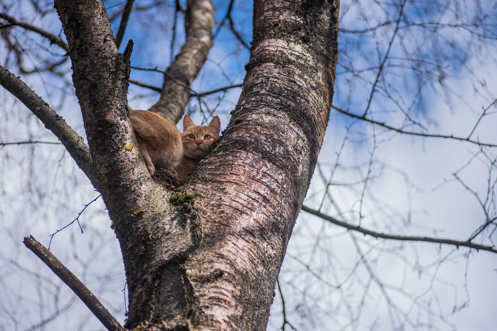 Photograph by Даркина Дарья