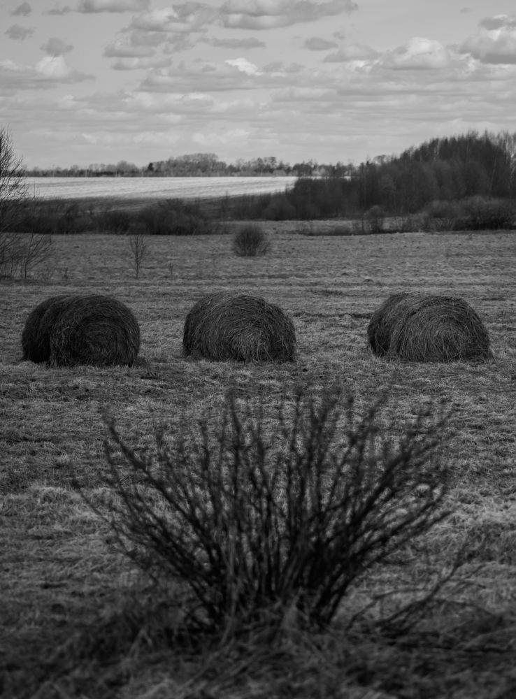 Photograph by Даркина Дарья