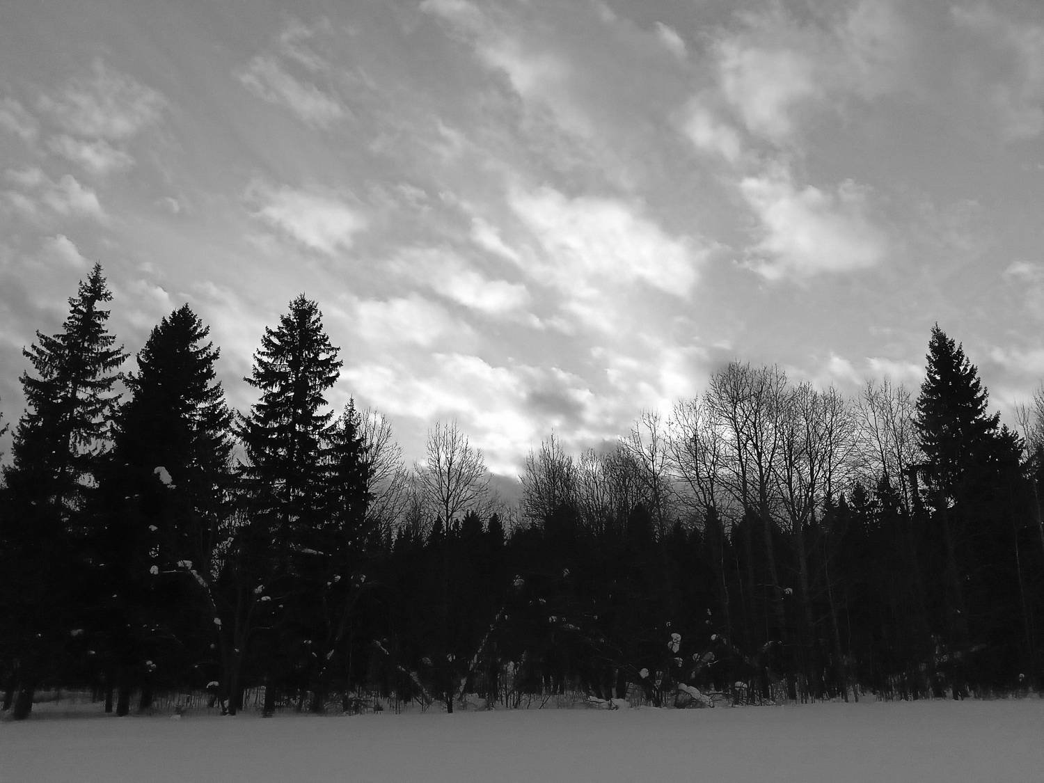 Photo #7622753