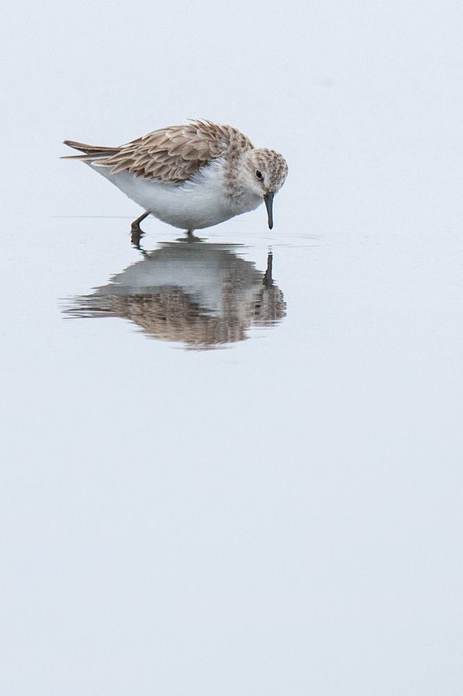 Photograph by Suman Paul