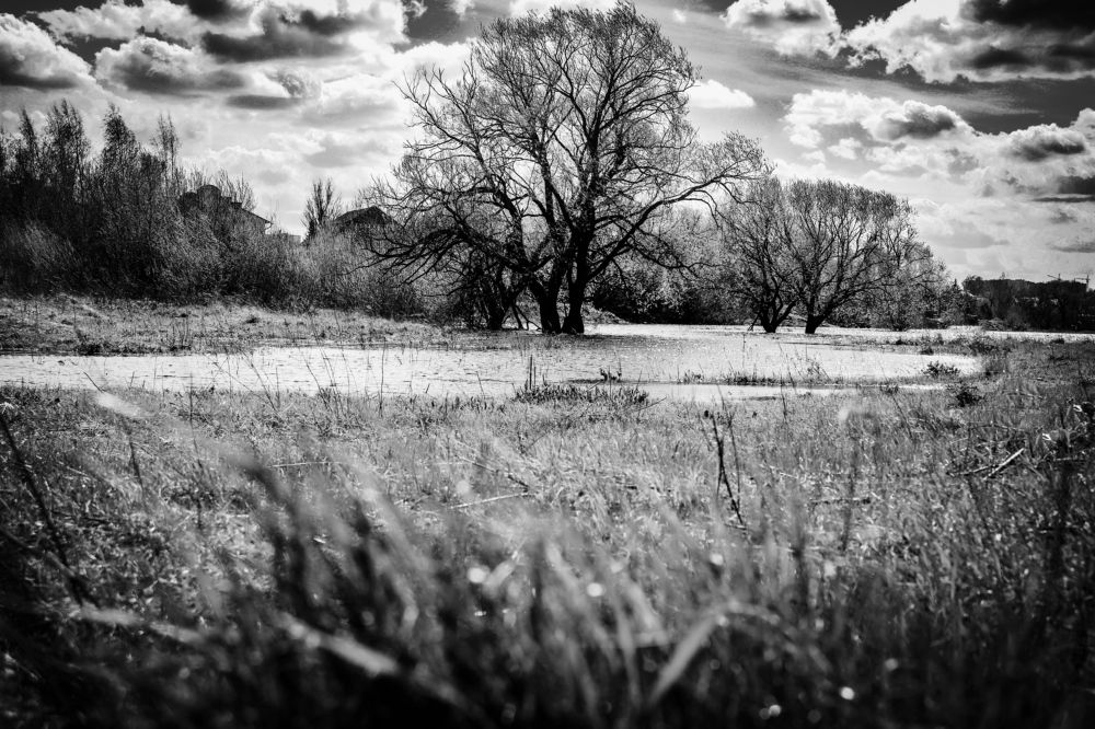 Photograph by Кристина Полякова