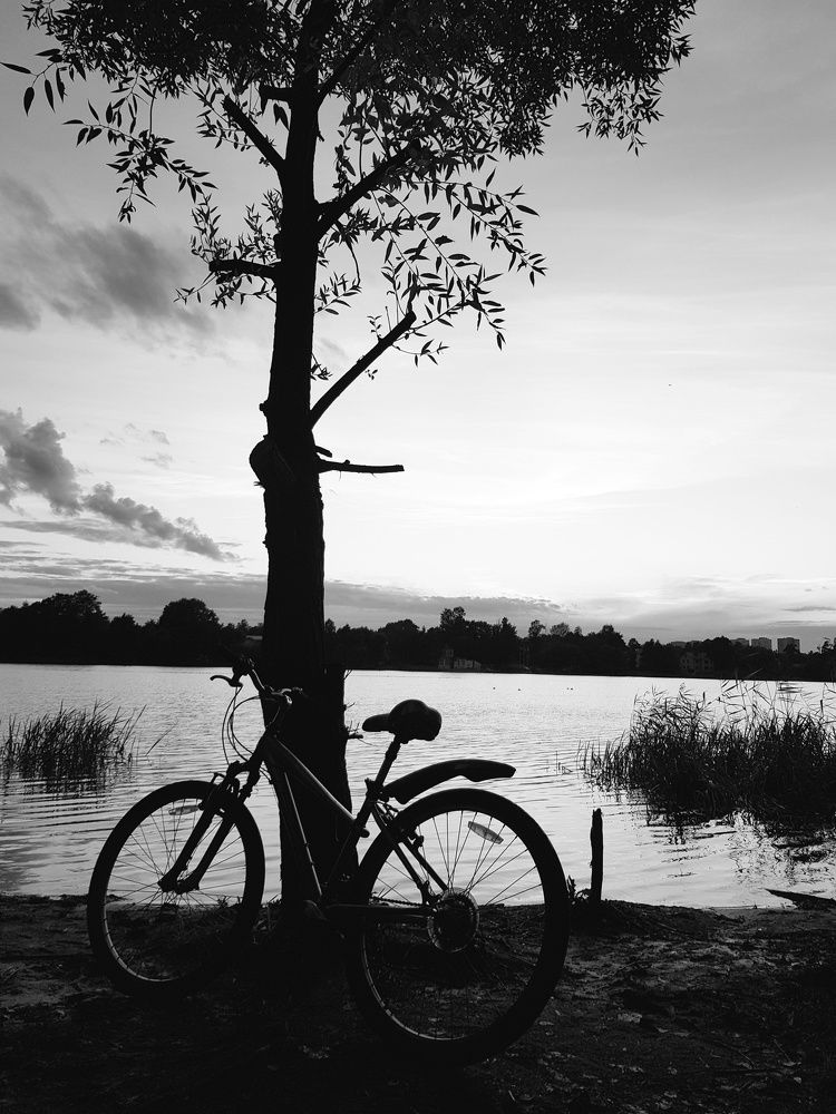 Photograph by Наталья Абилова