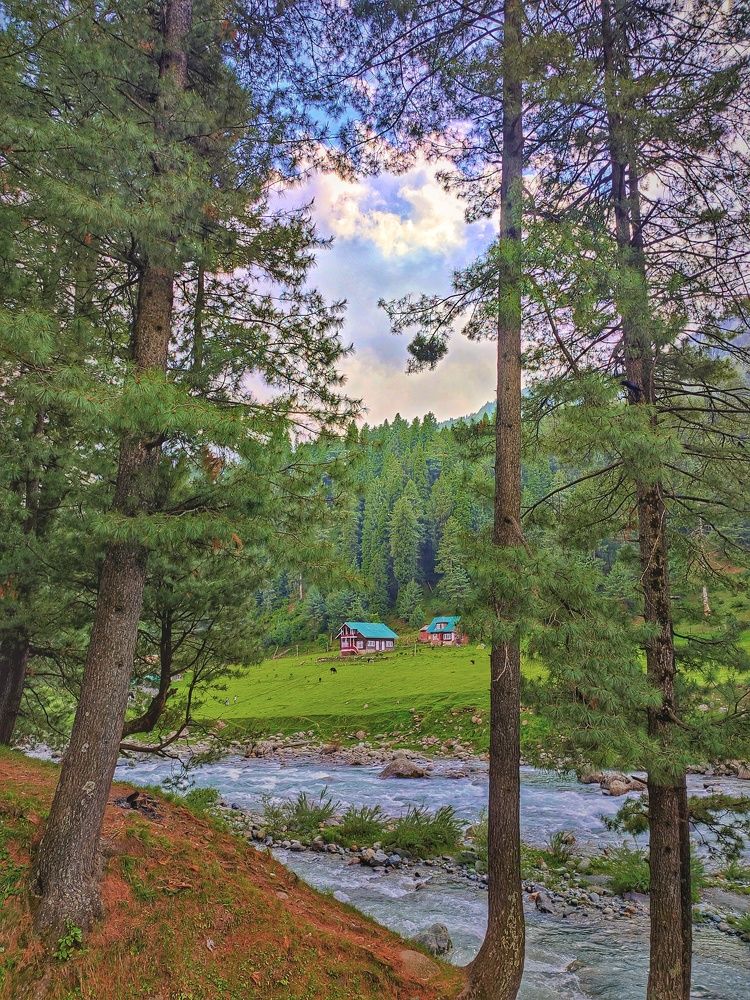 Photograph by Mosisz Photography