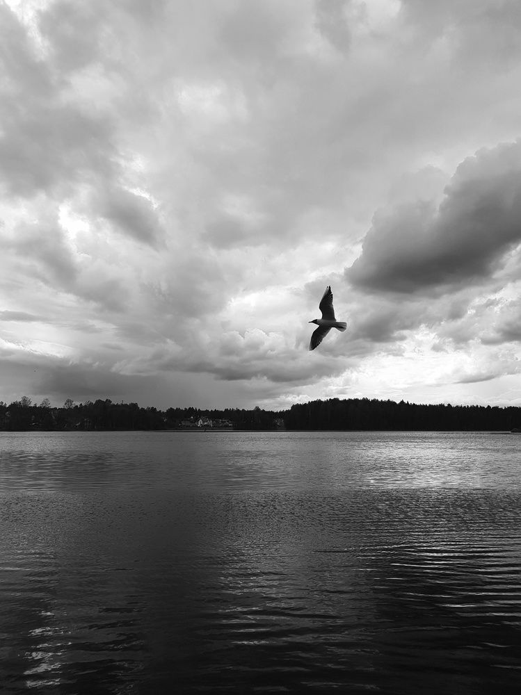 Photograph by Наталья Абилова