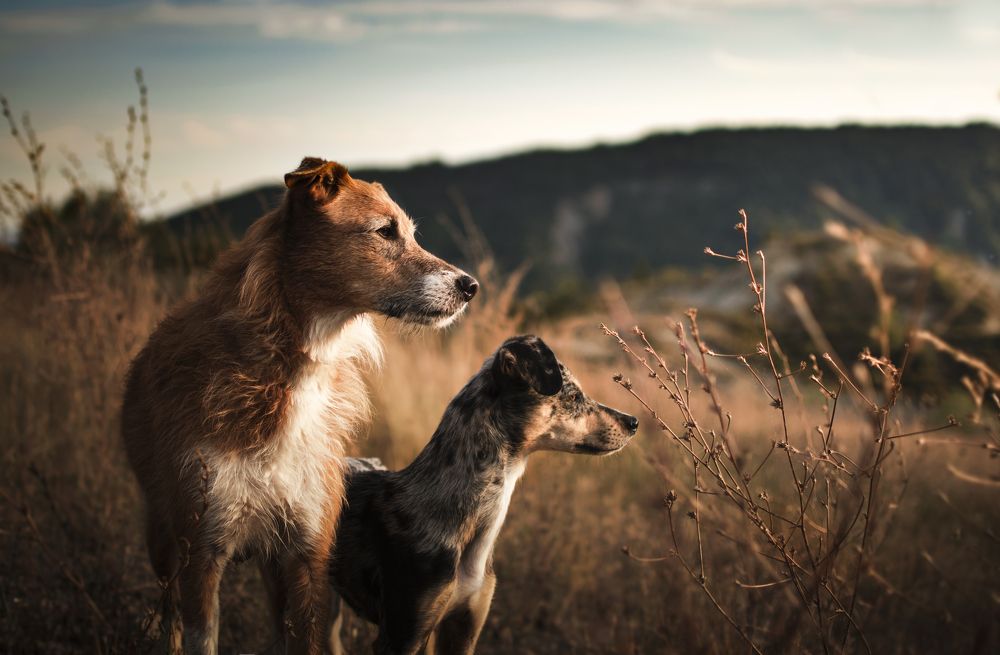 Photograph by leticia pascual garcia