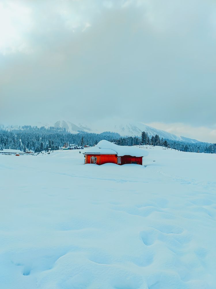 kashmir in winter ❄️ snow