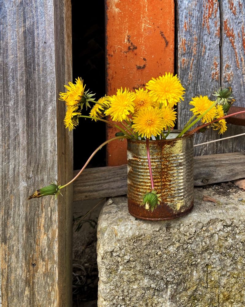 Photograph by Marina Odintsova