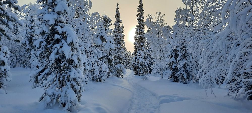 Фотография автора Валентина Новосёлова