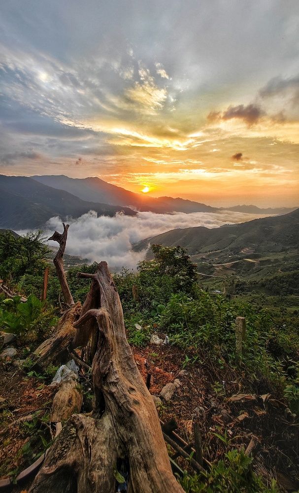 Photograph by Ba Hung Do