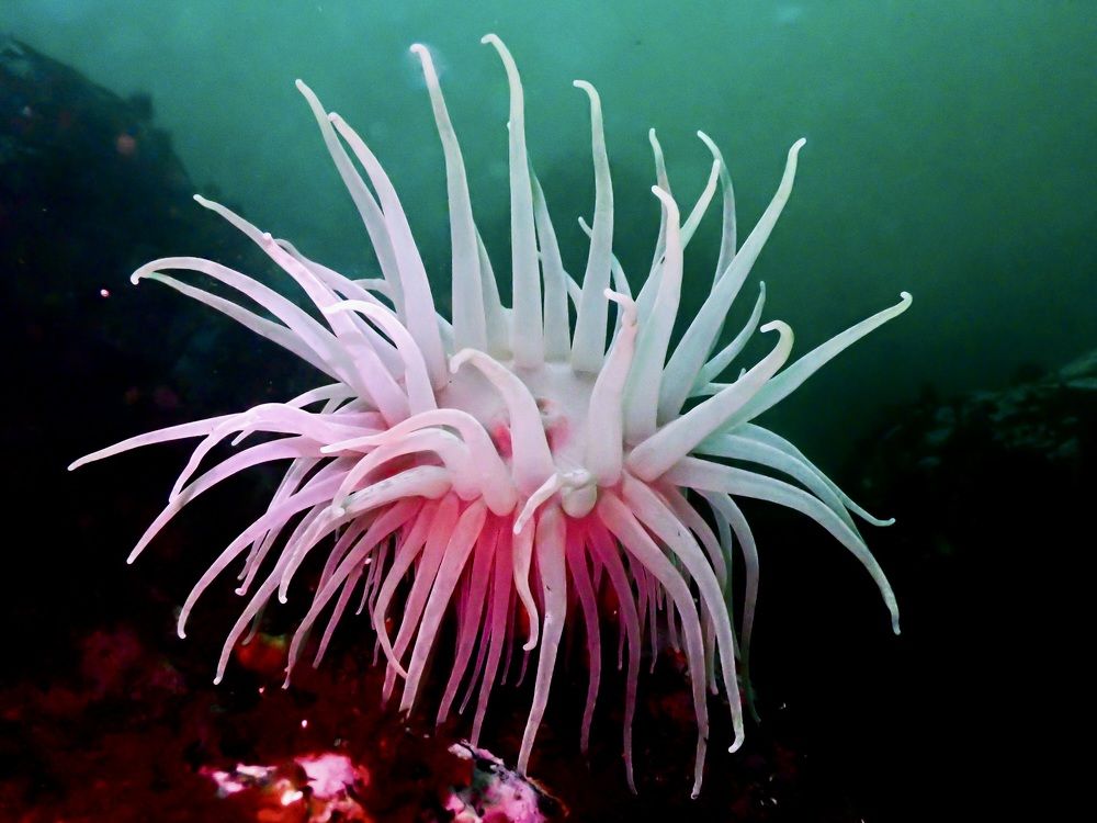 Photograph by Всеволод