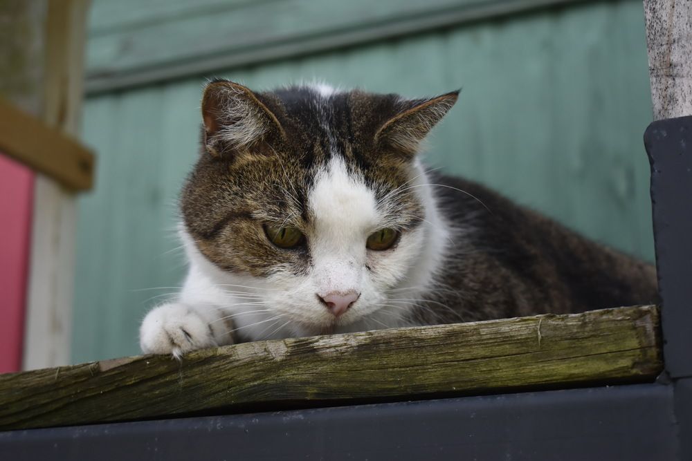 Photograph by Владимир Воложинский