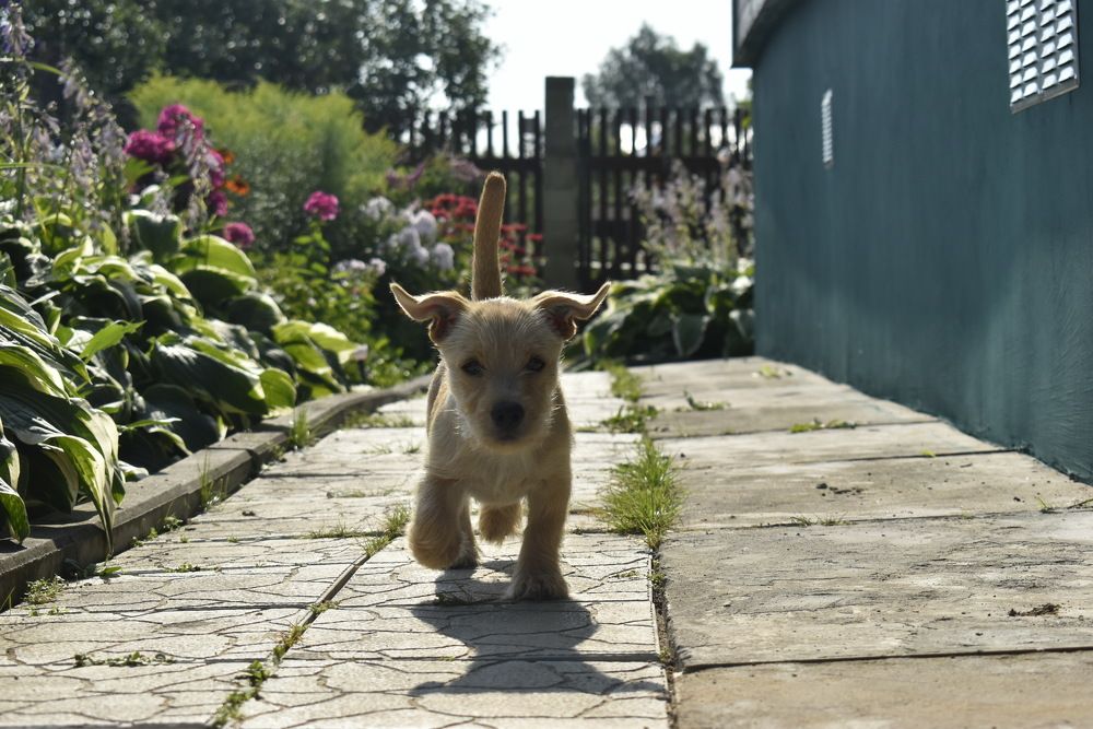 Photograph by Владимир Воложинский
