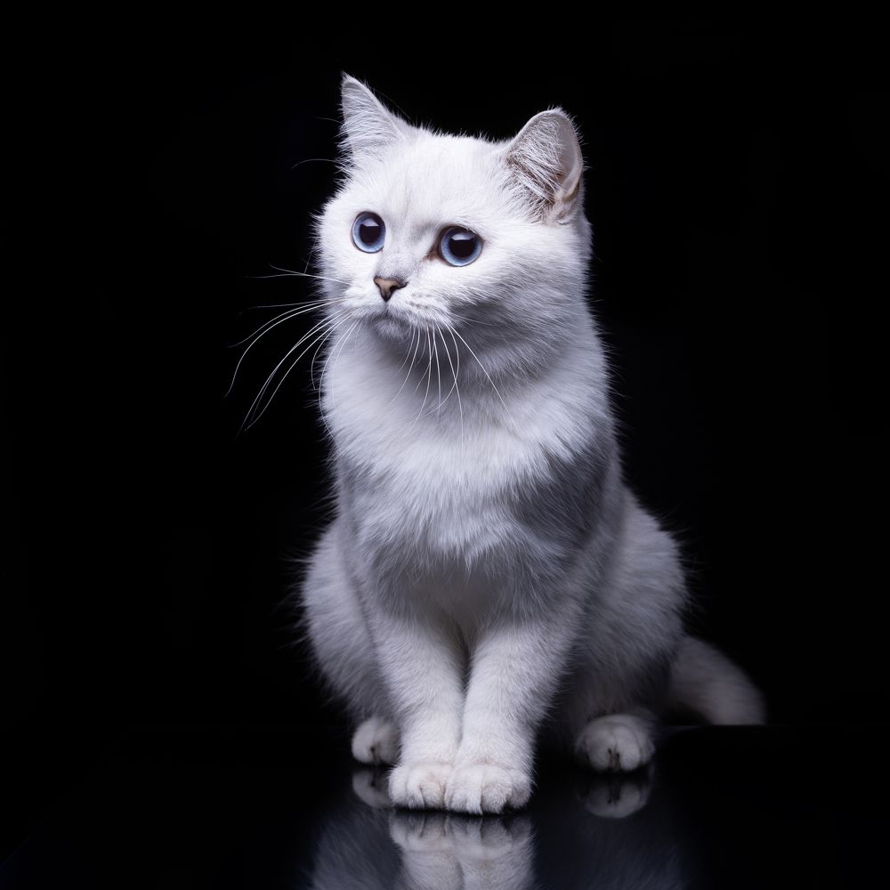 Photograph by Екатерина Каменцева