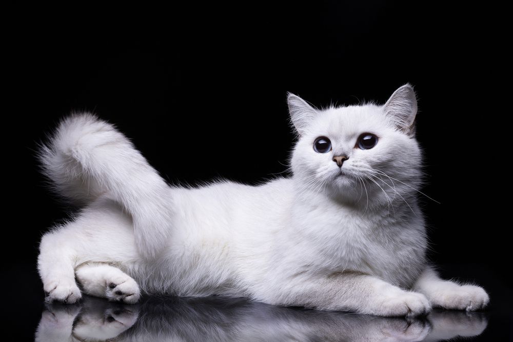 Photograph by Екатерина Каменцева