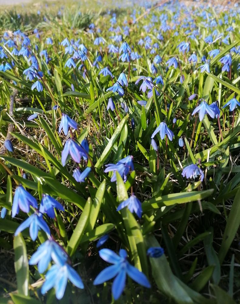 Photo #7622957