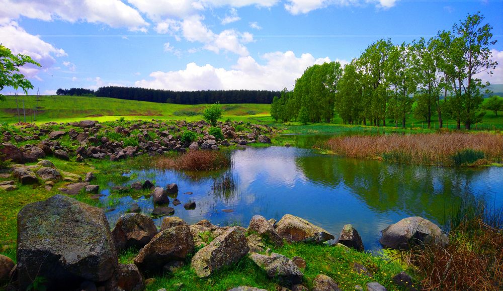 Photograph by Alex Kalpus