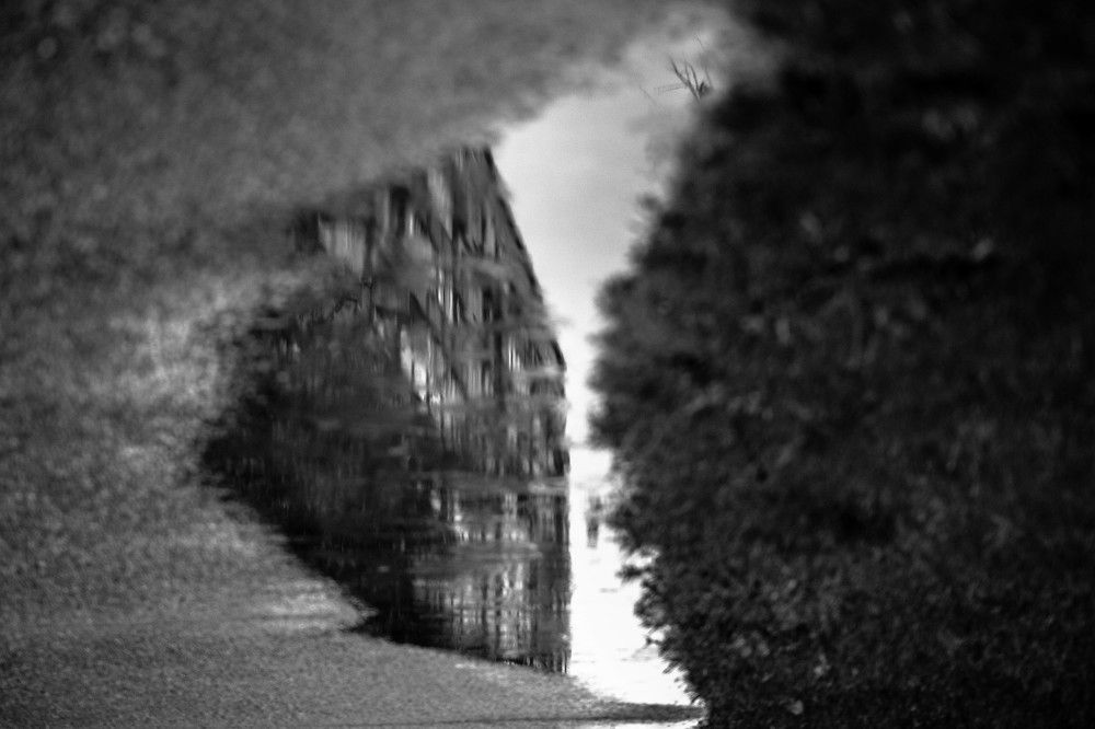 Photograph by Дима Захаров