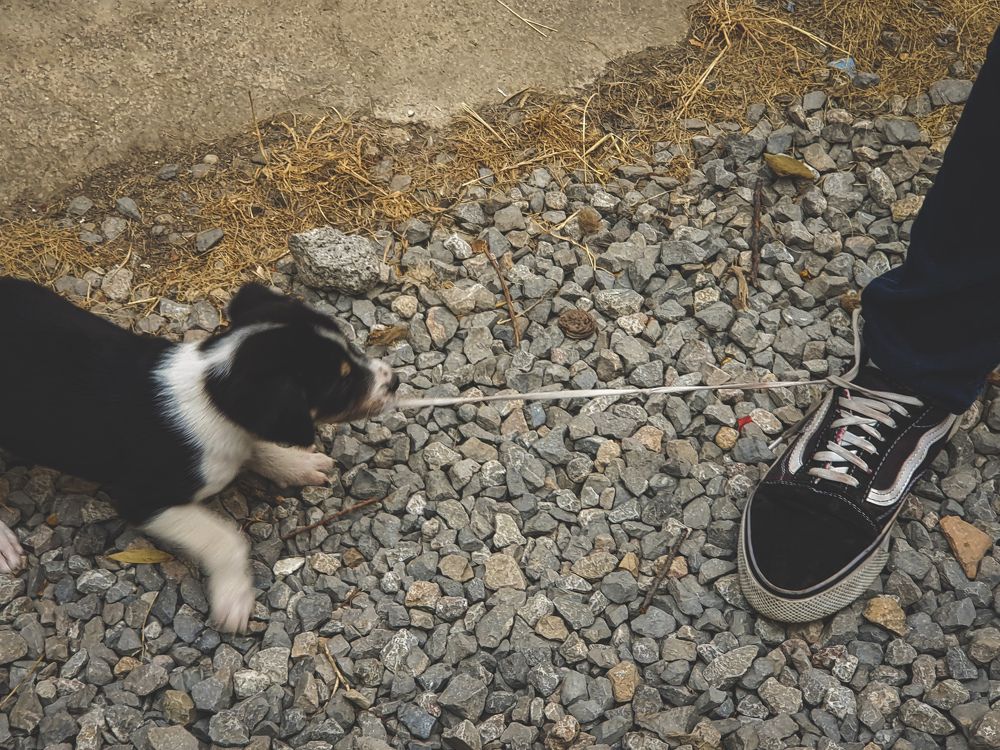 Photograph by Mostafa Mortazavi