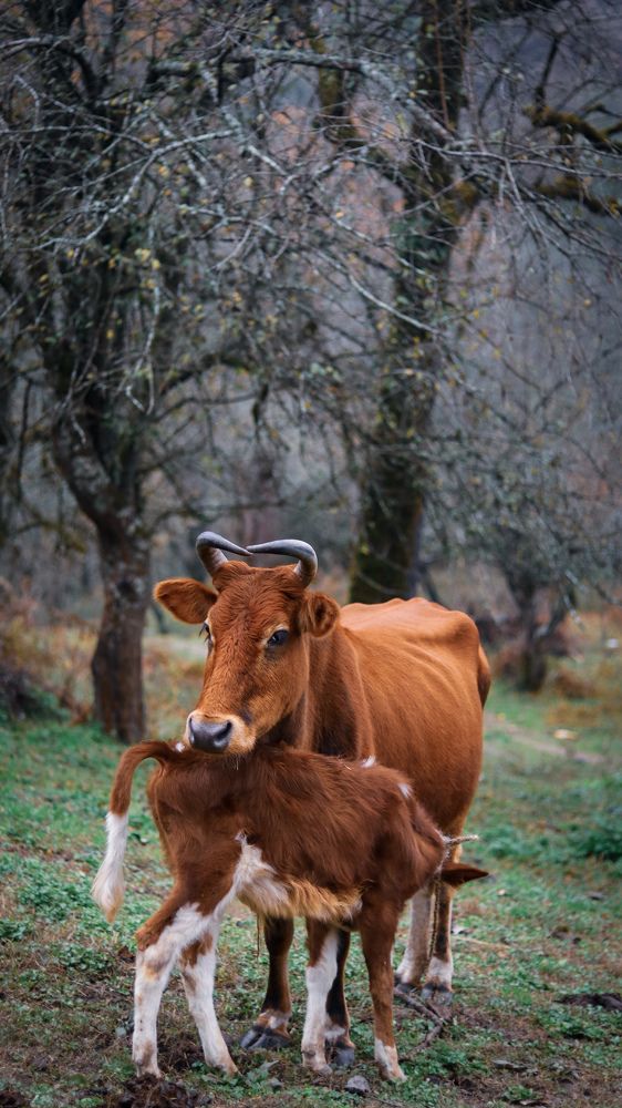 Photograph by Mostafa Mortazavi