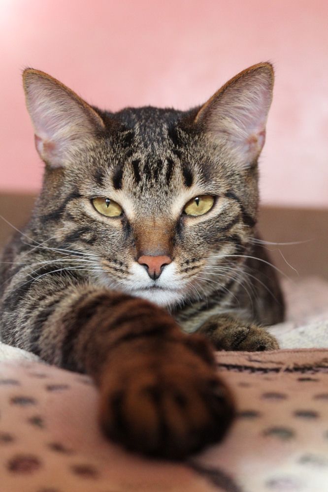 Photograph by Анна Емельянова