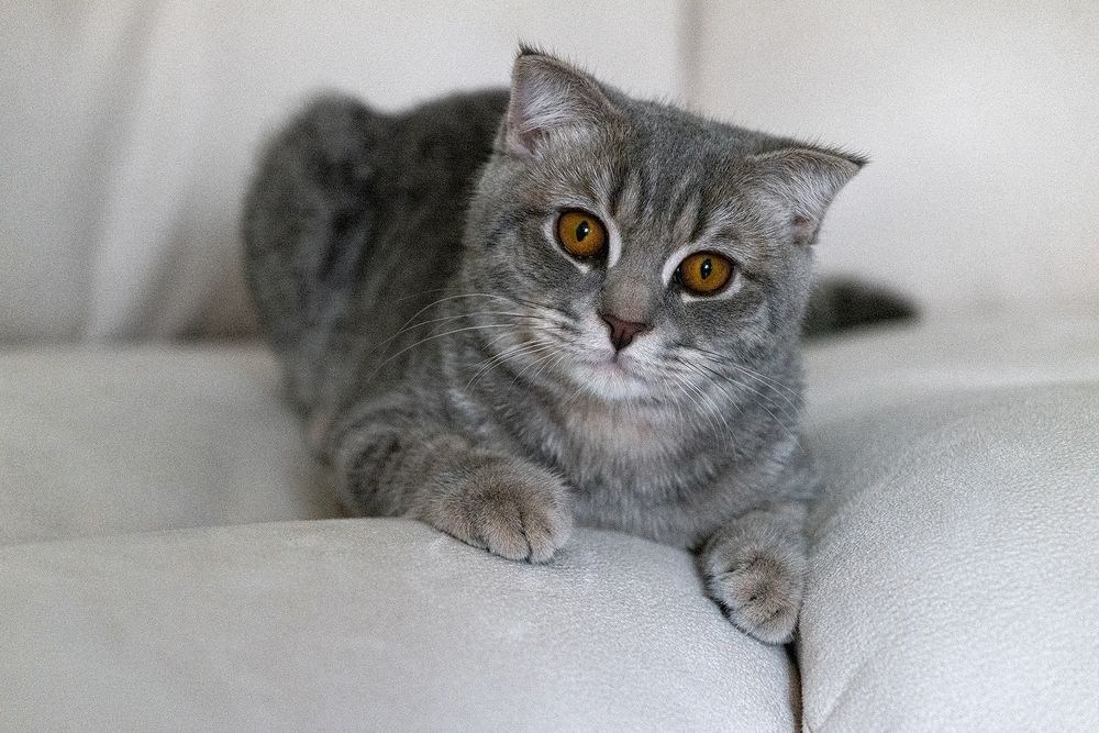 Photograph by Нина Богатырева