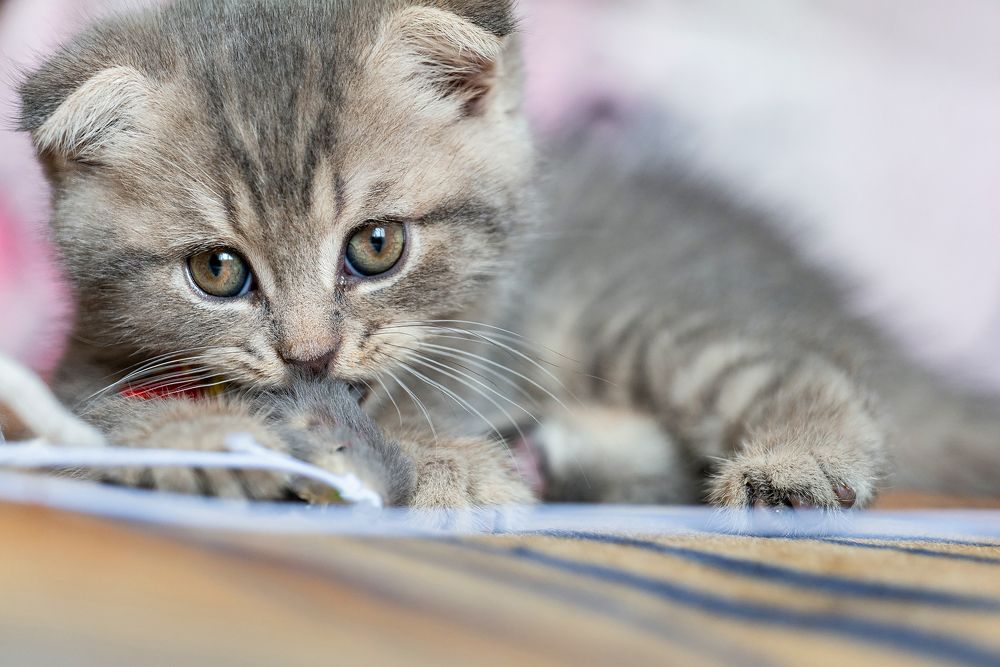 Photograph by Нина Богатырева