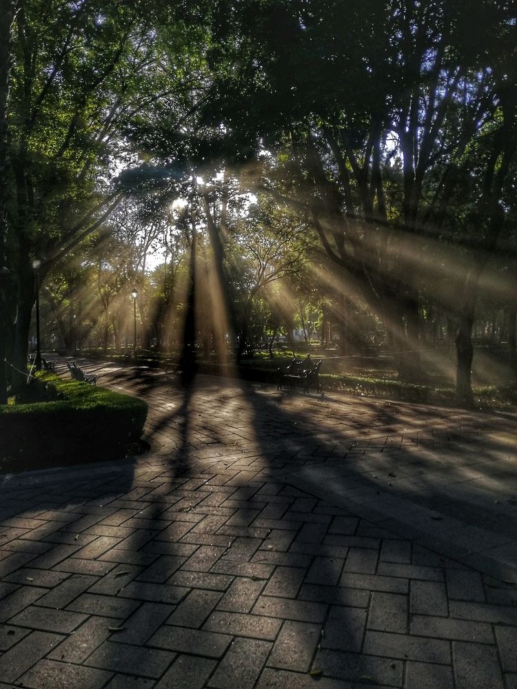 Photograph by Victor Sierra