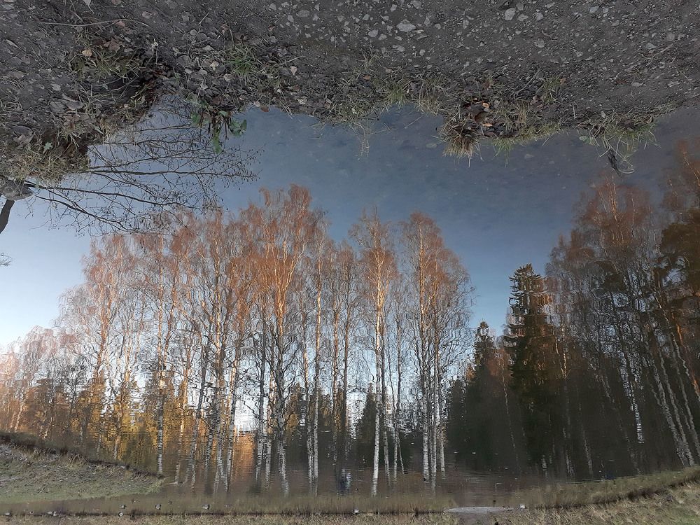 Photo #7623084
