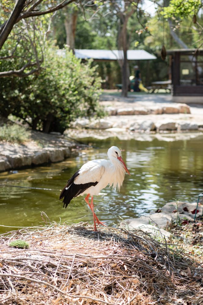 Photograph by Таня Чабаненко