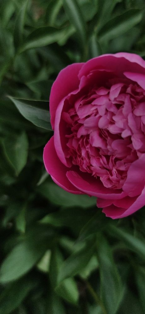 Photograph by Марина Титова