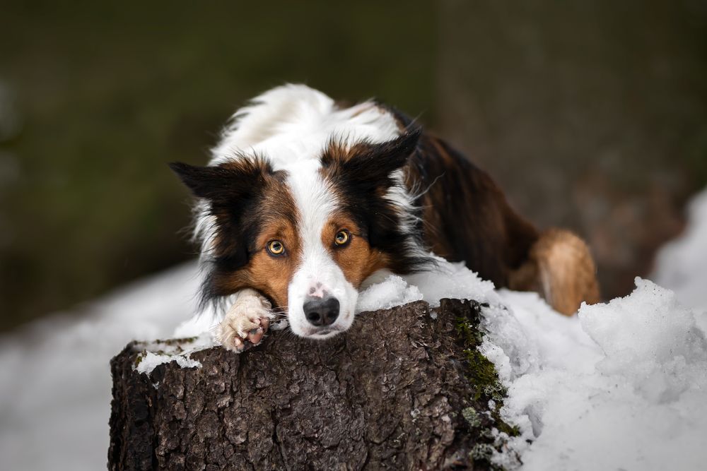 Photograph by Veronika Blažeková