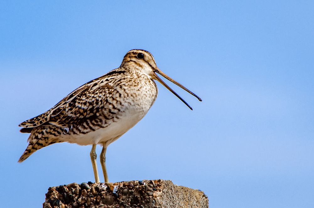 Photograph by Вероника Романенко