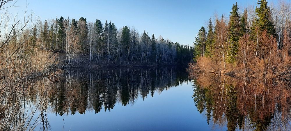 Фотография автора Валентина Новосёлова