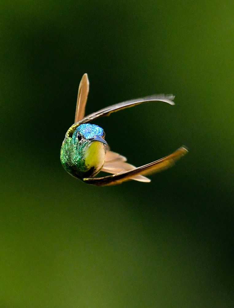 Photograph by Ricardo Ubico