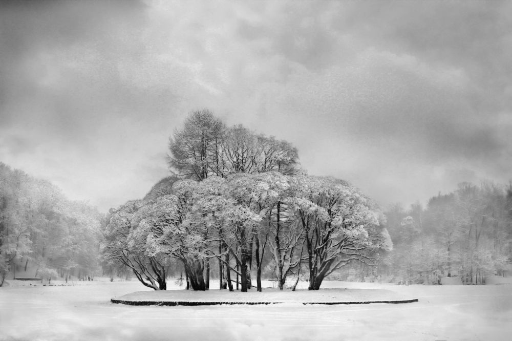 Фотография автора Анна Петина