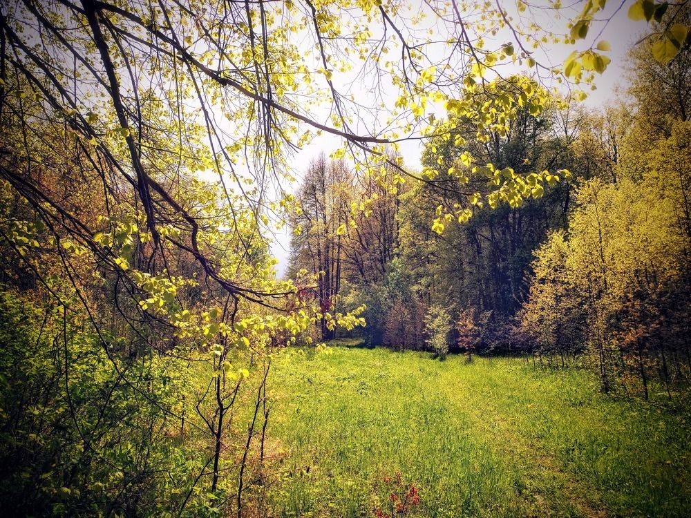 Photograph by Сергей Забиякин