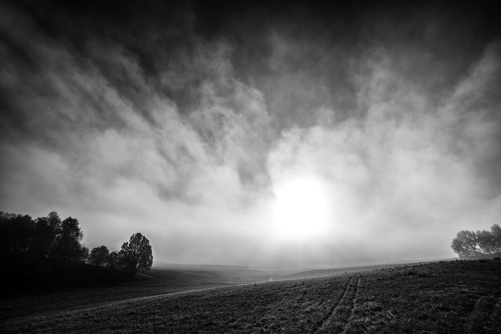 Photograph by Анатолий