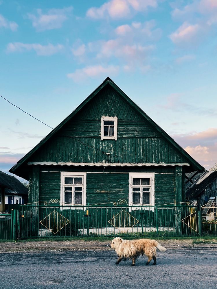 Фотография #7623240