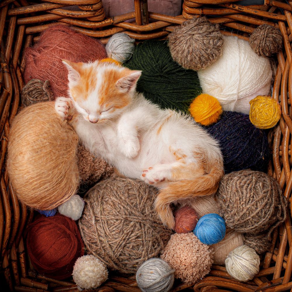 Photograph by Надежда Кураж