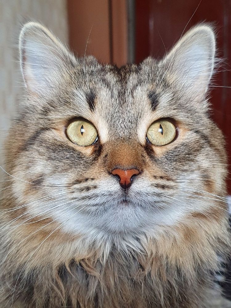 Photograph by Дарья Муллина