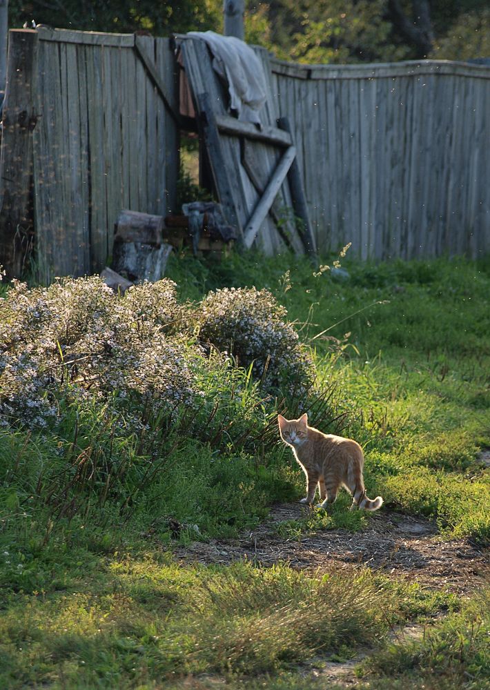 Photograph by Елена Княжева